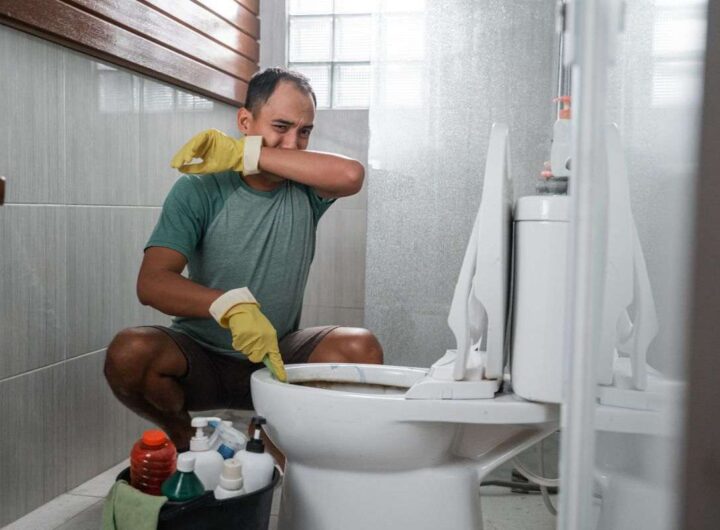 ghiaccio nel wc e addio cattivi odori: come fare