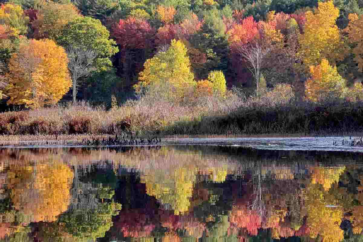La bellezza dell'Italia in autunno