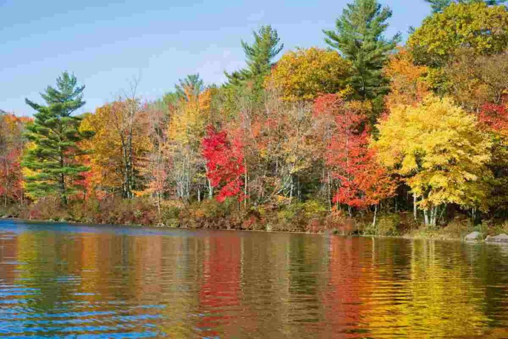 La bellezza dell'Italia in autunno, tutti i dettagli