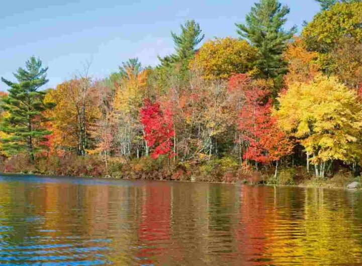 La bellezza dell'Italia in autunno, tutti i dettagli