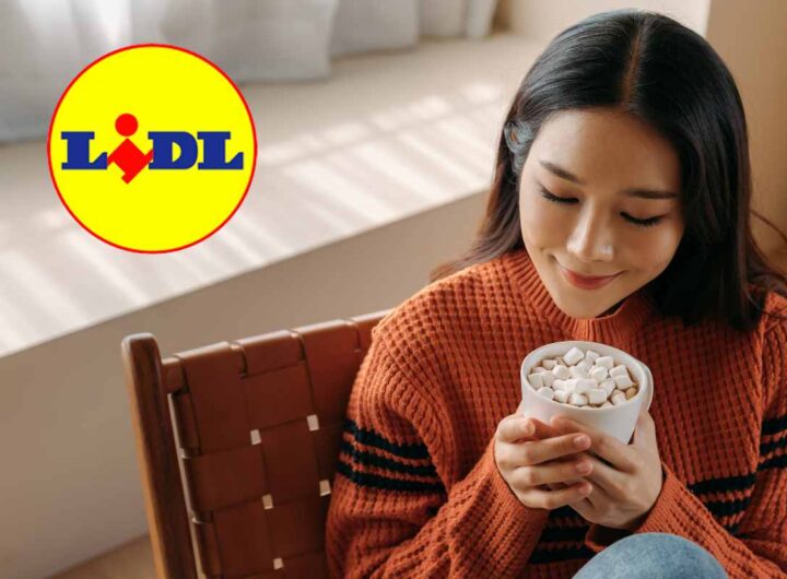 lidl offerta inverno