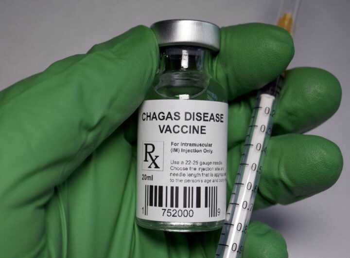 come proteggersi dalla malattia di Chagas