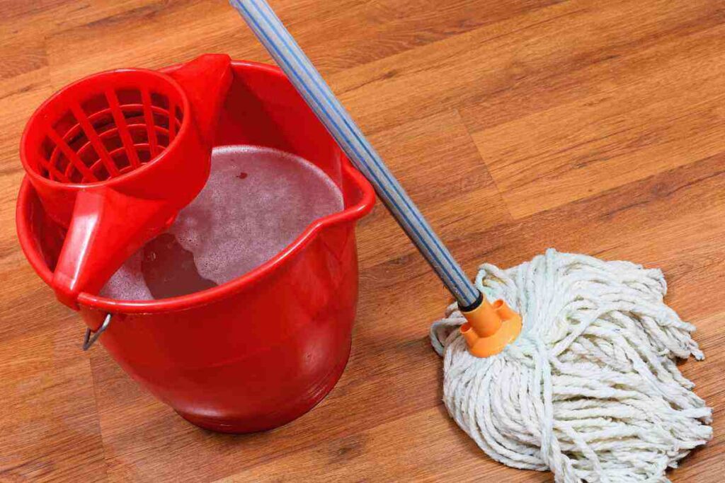 Solo un gesto col mocio e la casa sarà più pulita che con mille prodotti, tutti i dettagli