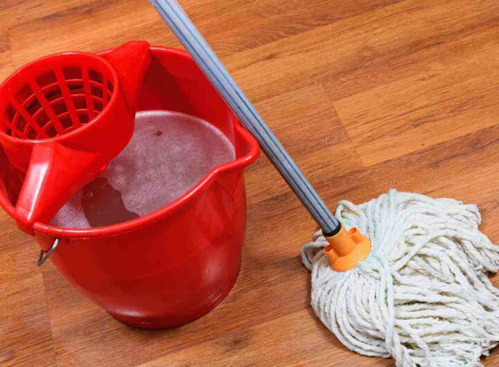 Solo un gesto col mocio e la casa sarà più pulita che con mille prodotti, tutti i dettagli
