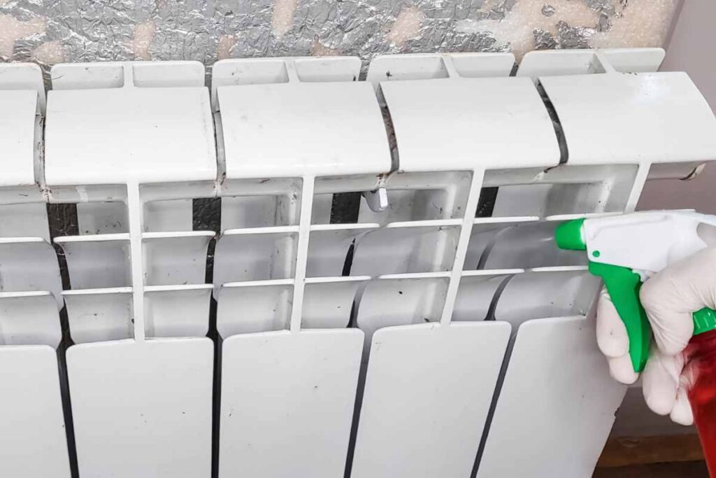 Addio polvere e batteri, così li proteggi anche dal freddo, tutti i dettagli
