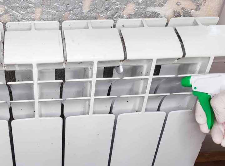 Addio polvere e batteri, così li proteggi anche dal freddo, tutti i dettagli