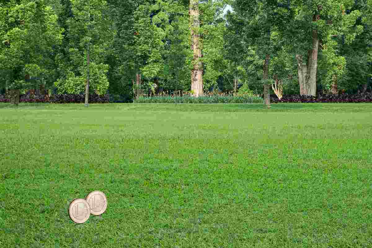 Se lo trovi nel tuo giardino, sei milionario, i dettagli