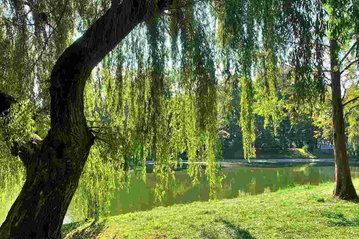 I tesori nascosti del Sud, luoghi incantati tra natura e sapori genuin