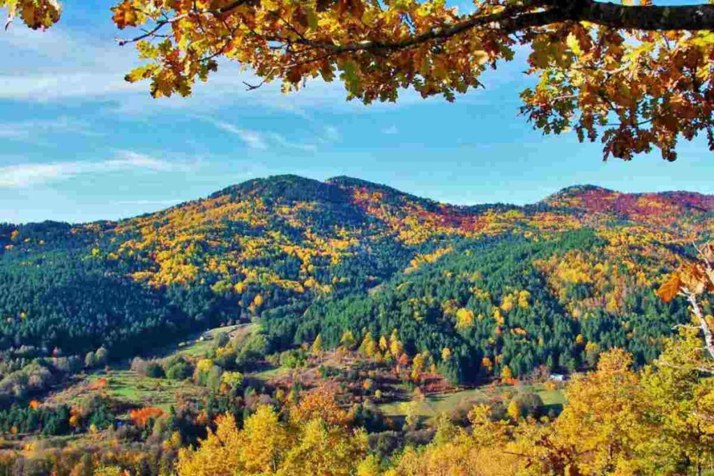 I tesori nascosti del Sud, luoghi incantati tra natura e sapori genuin, i dettagli