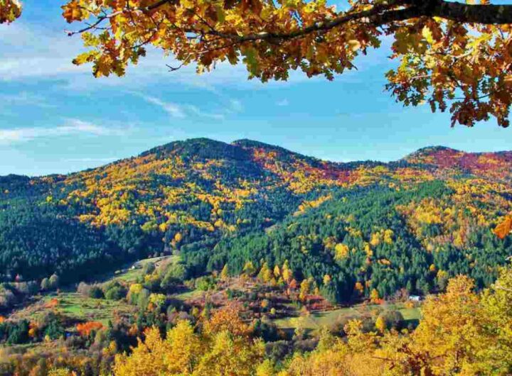 I tesori nascosti del Sud, luoghi incantati tra natura e sapori genuin, i dettagli