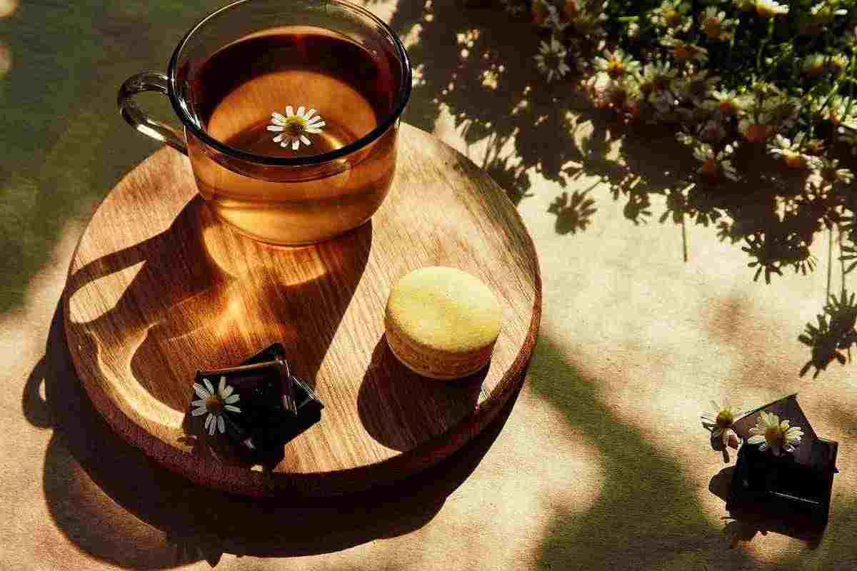Tisane e camomille: dove si buttano i filtri e 5 idee creative per riutilizzarli