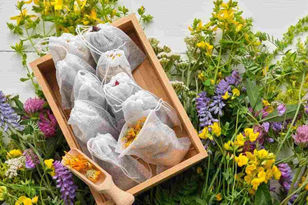 Tisane e camomille: dove si buttano i filtri e 5 idee creative per riutilizzarli, tutti i dettagli