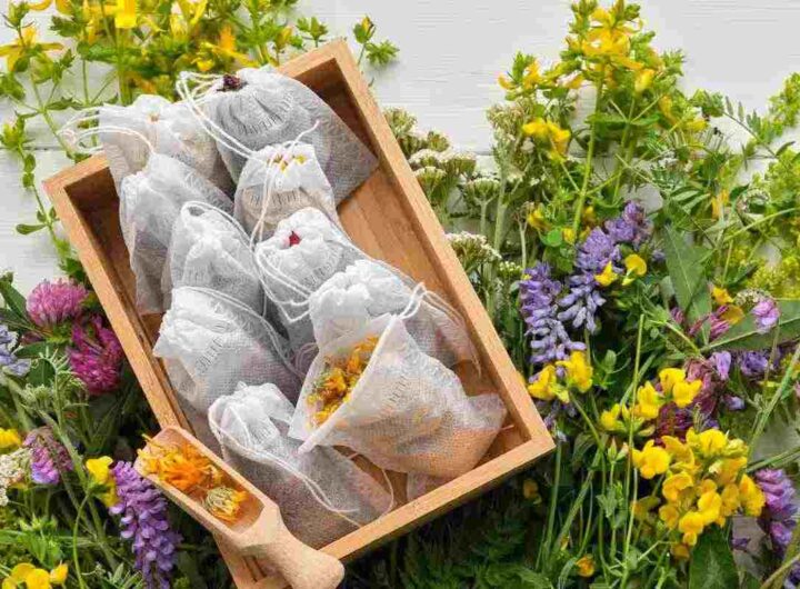Tisane e camomille: dove si buttano i filtri e 5 idee creative per riutilizzarli, tutti i dettagli