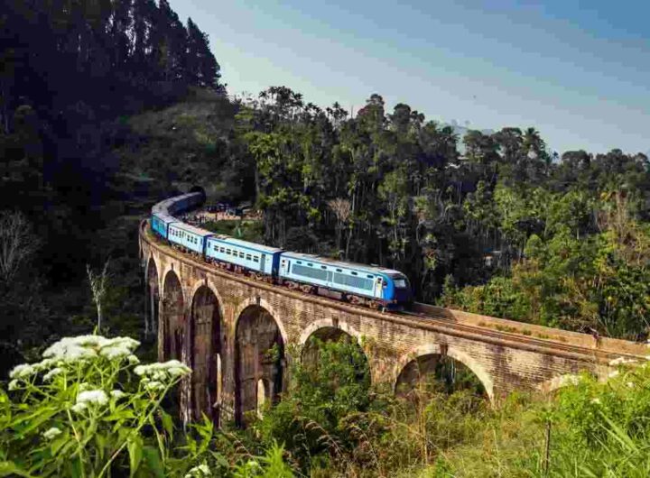 In partenza il magico treno del foliage, tutti i dettagli